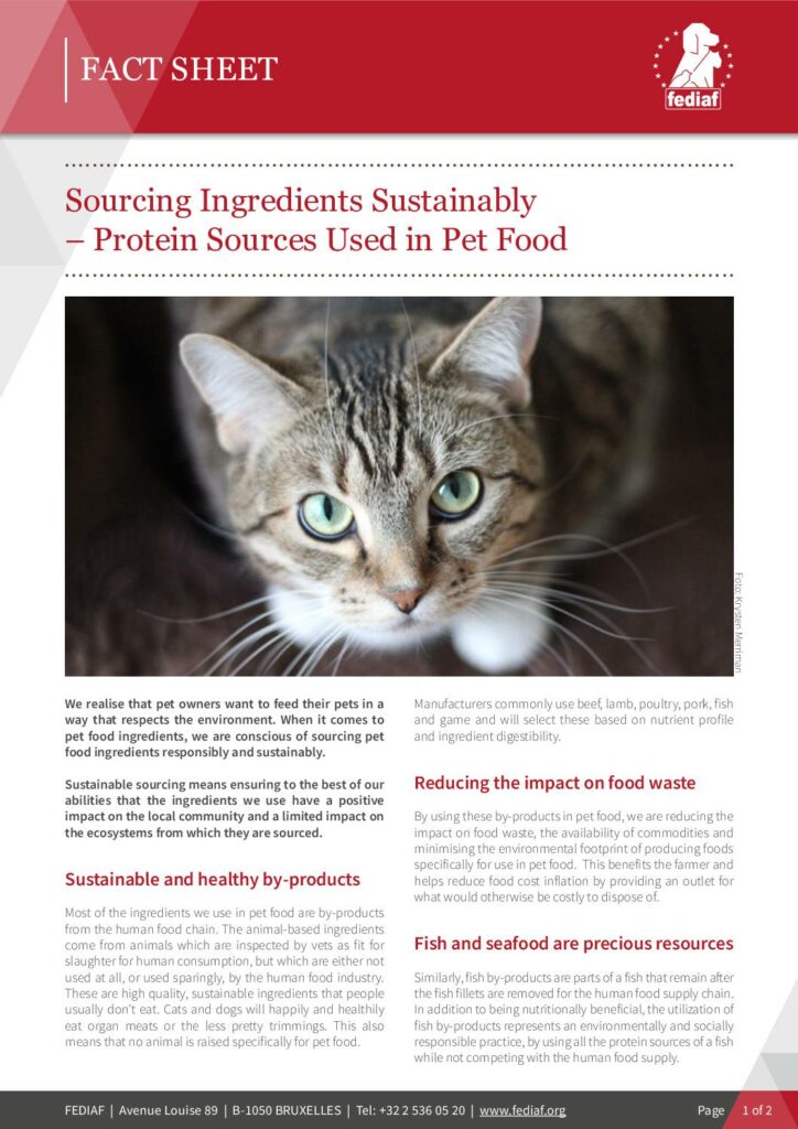 Sourcing ingredients sustainably – Protein sources used in pet food cover