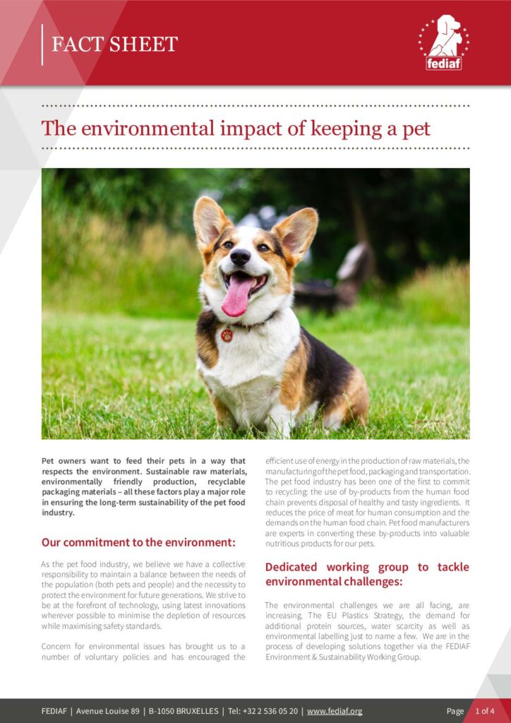 The Environmental Impact of Keeping a Pet cover